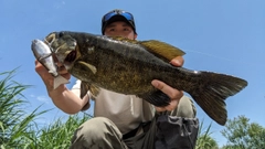 スモールマウスバスの釣果