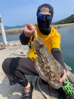 モンゴウイカの釣果