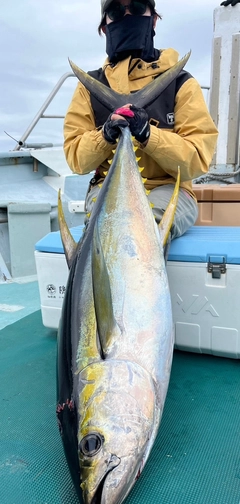 キハダマグロの釣果