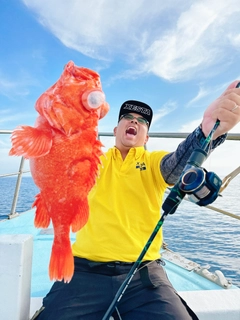 アコウダイの釣果