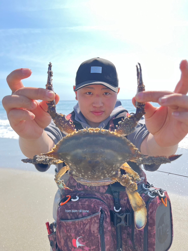 カニの釣果