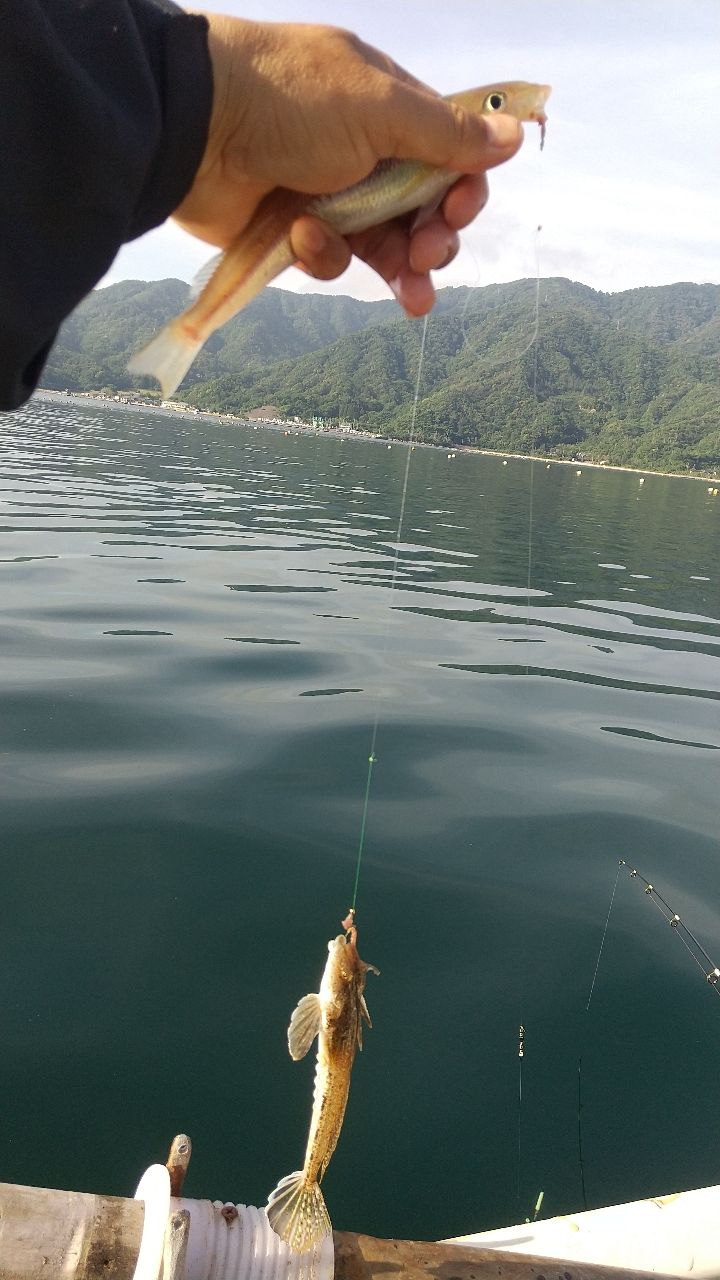 遥の父さんの釣果 2枚目の画像