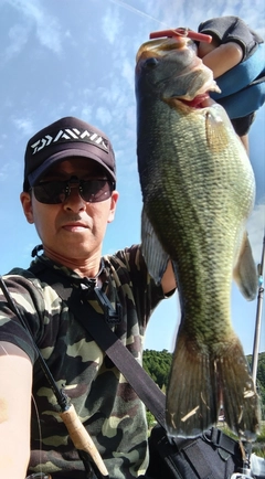 ブラックバスの釣果