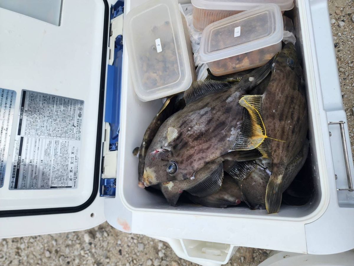 清和丸さんの釣果 3枚目の画像