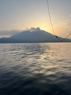 カワハギの釣果