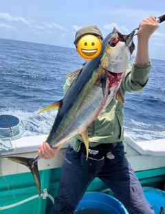 キハダマグロの釣果