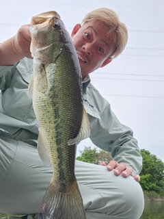 ラージマウスバスの釣果