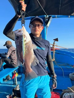 アオバダイの釣果