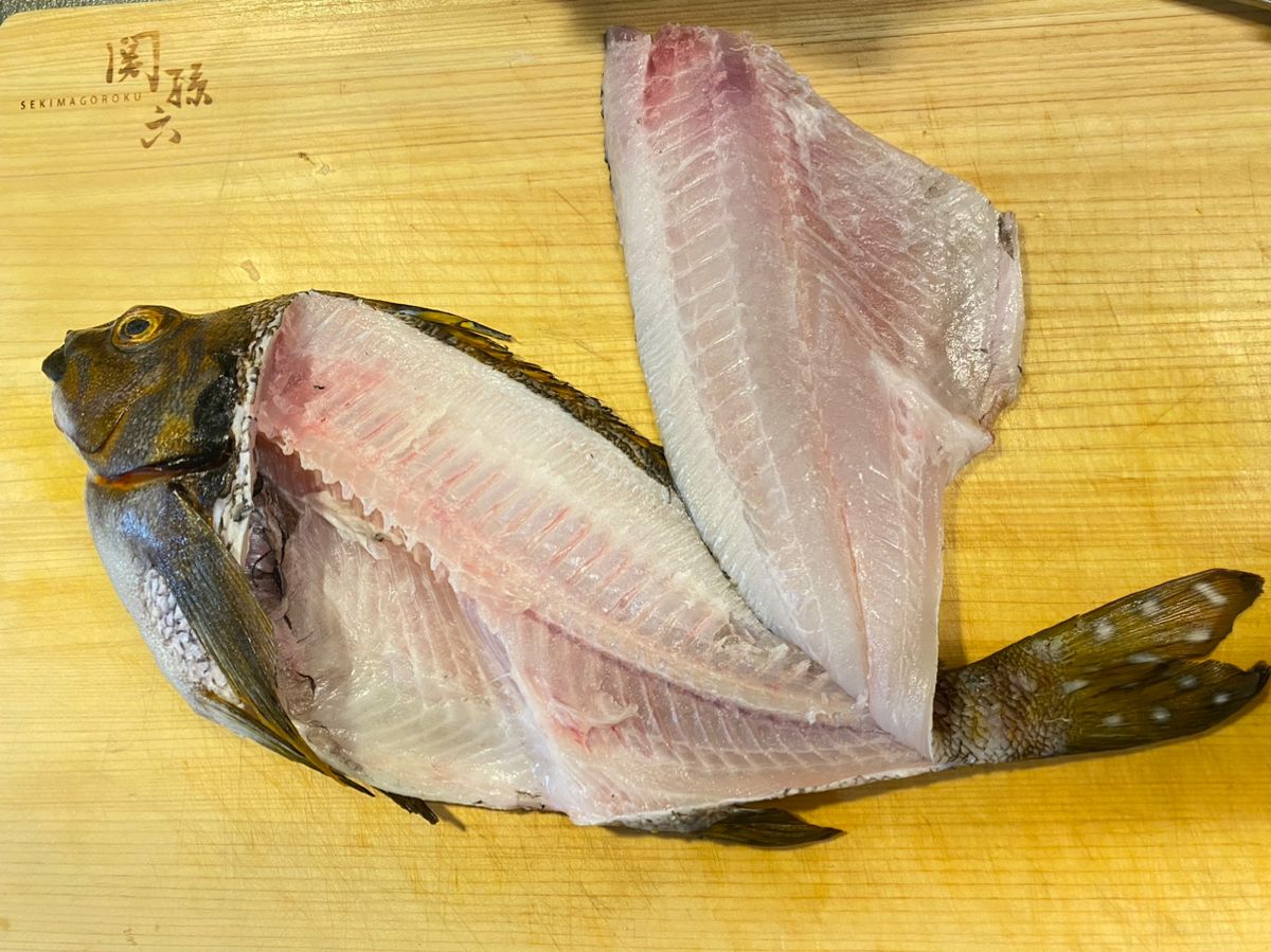 maru汰さんの釣果 2枚目の画像