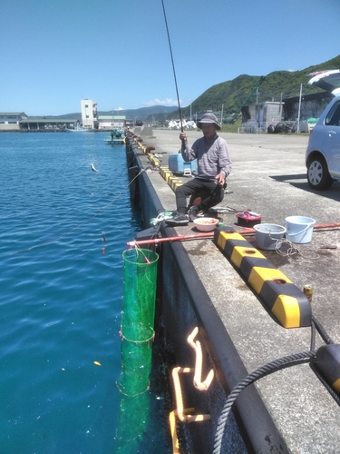 マアジの釣果