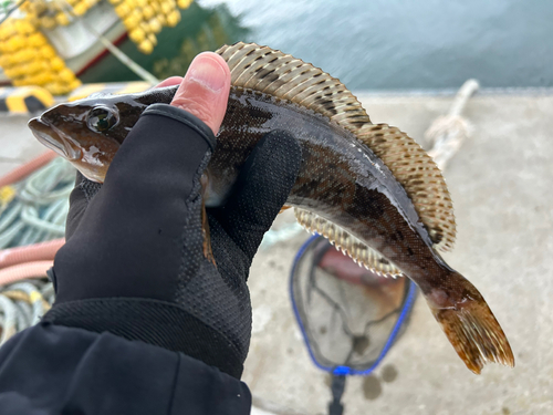 内浦湾（北海道）