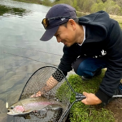 ニジマスの釣果