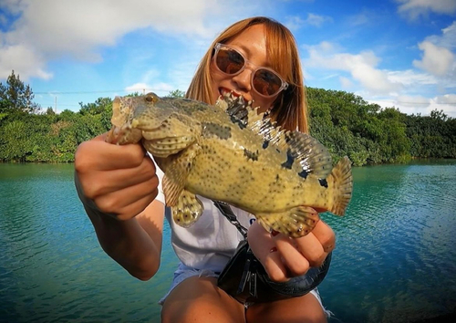 アカマダラハタの釣果