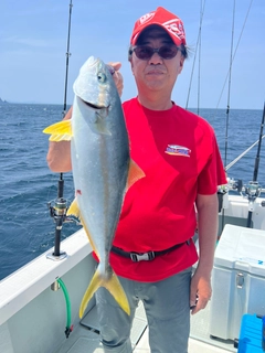 ヒラマサの釣果