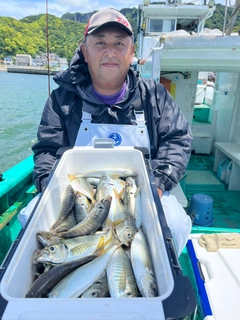 マアジの釣果