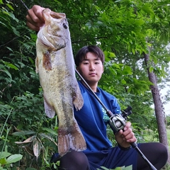 ブラックバスの釣果