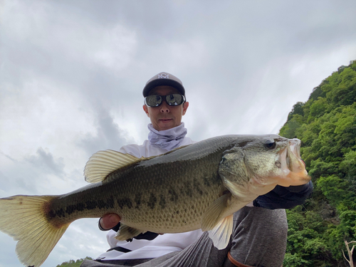 ブラックバスの釣果