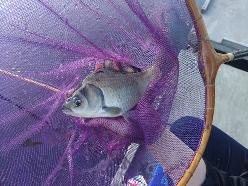 海老名運動公園