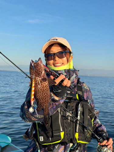 オオモンハタの釣果