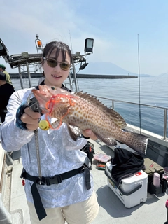 オオモンハタの釣果