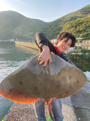 高知県西部