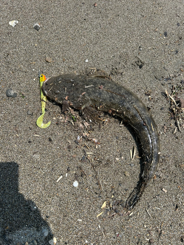 秋田県北部