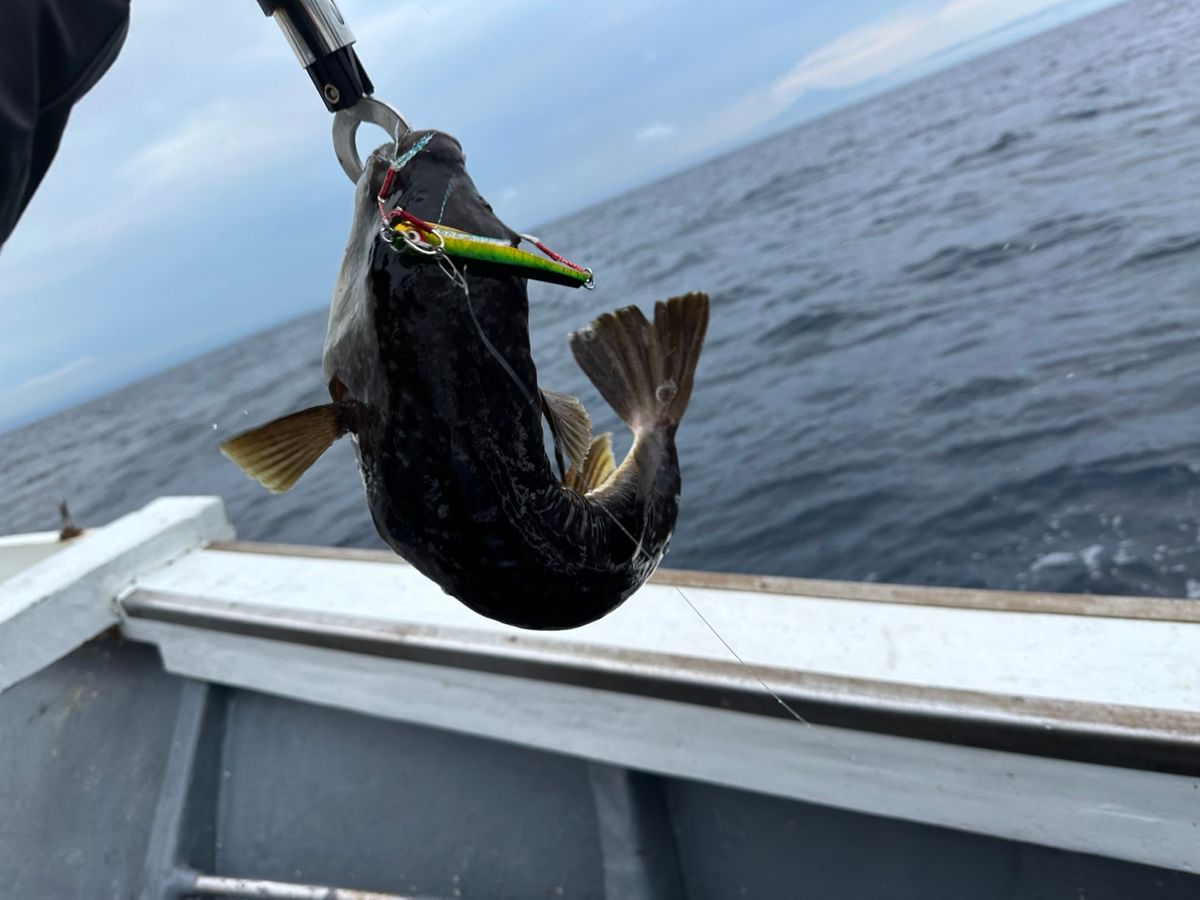 ClearBlue大好きさんの釣果 1枚目の画像