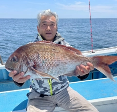 マダイの釣果