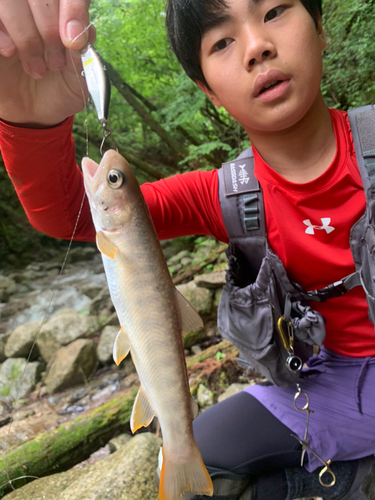 岐阜県南部