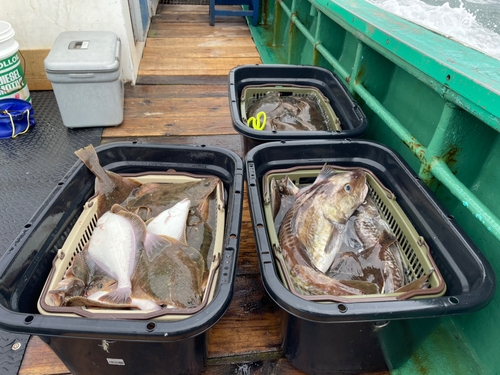 ソウハチの釣果