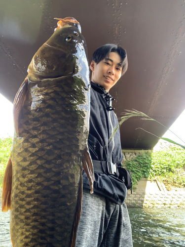 アユの釣果