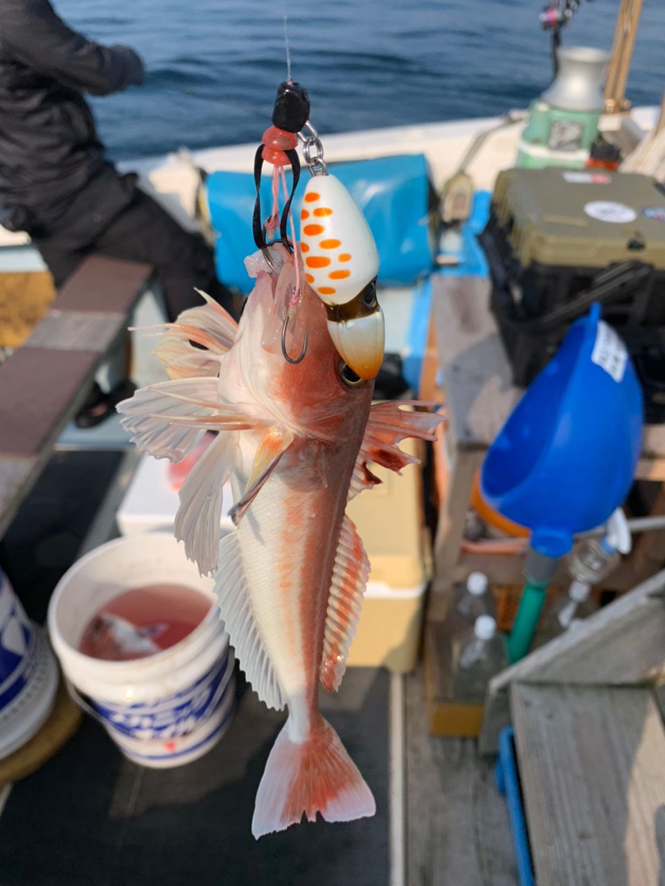 松℃さんの釣果 2枚目の画像