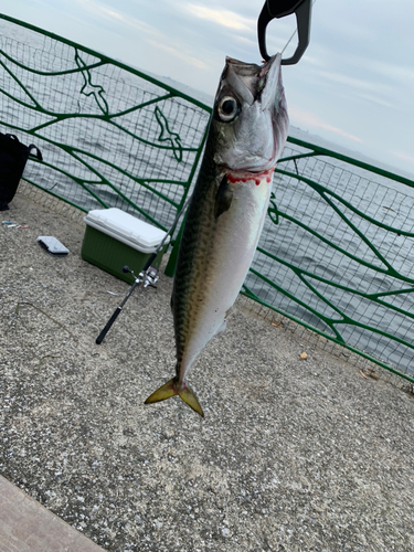 海辺つり公園