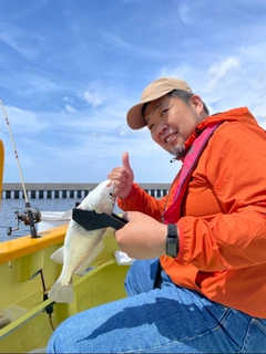 イシモチの釣果