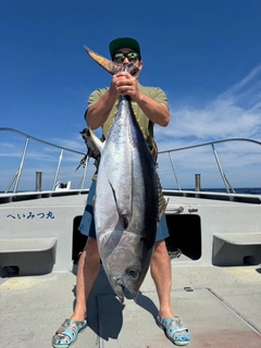 キハダマグロの釣果