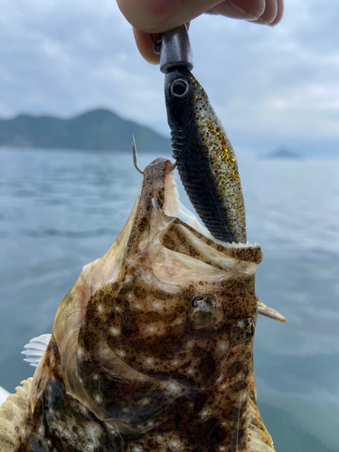 ソゲの釣果