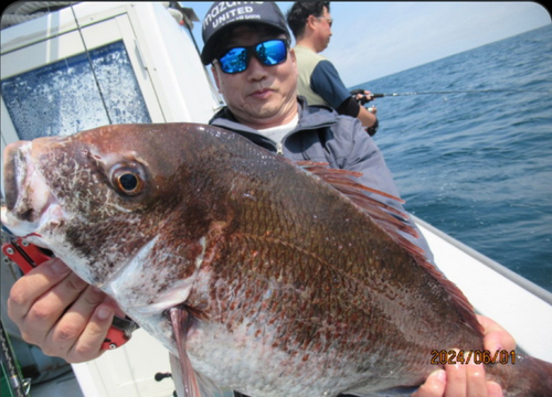 マダイの釣果