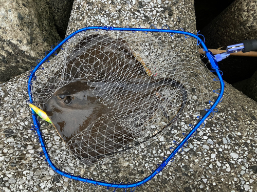 高洲海浜公園