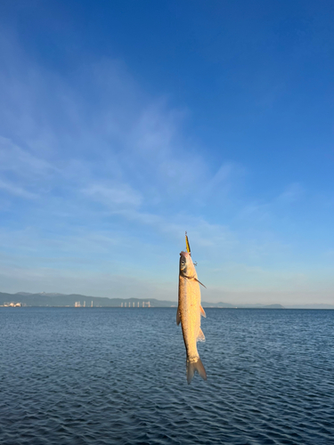 石狩湾新港