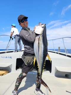 キハダマグロの釣果