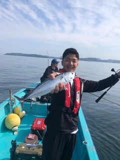 カツオの釣果