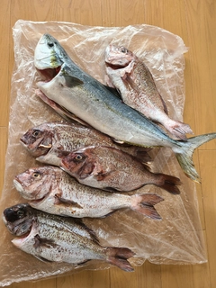 釣果