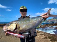 ヒレナガカンパチの釣果