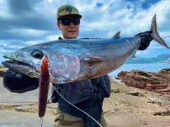 ハガツオの釣果