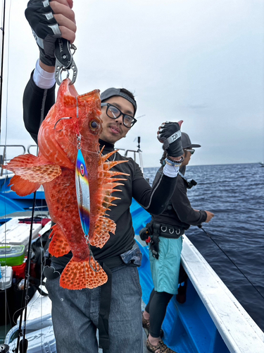 オニカサゴの釣果