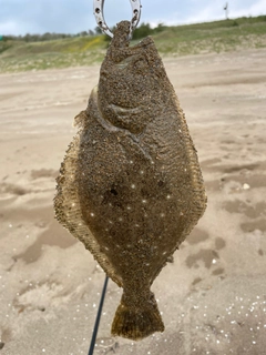 ソゲの釣果