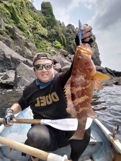 アコウの釣果