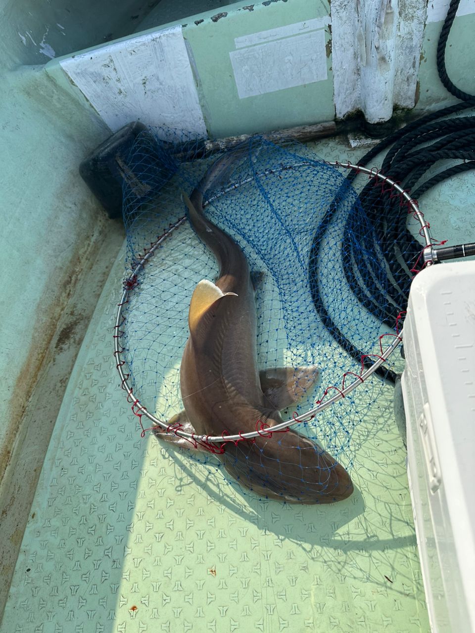 けんたけさんの釣果 2枚目の画像