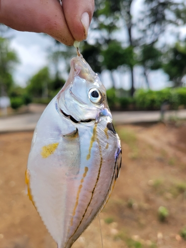 潮浜公園