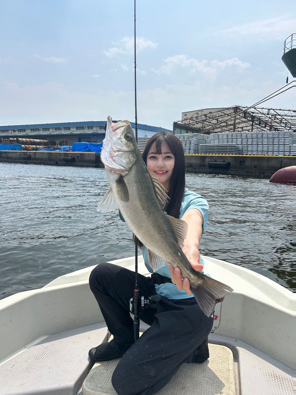 シーバス